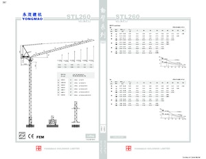 Grúas torre con pluma rotativa Yongmao STL260