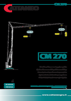 Grúas torre con rotación inferior Cattaneo CM 270