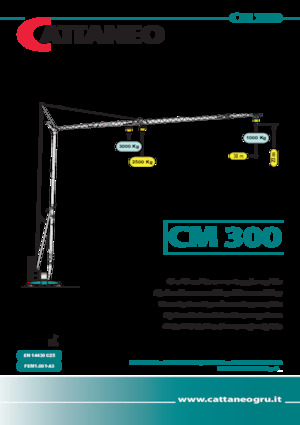 Grúas torre con rotación inferior Cattaneo CM 300