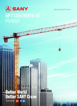 Grúas torre con rotación superior Sany SFT125