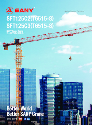 Grúas torre con rotación superior Sany SFT125C2 