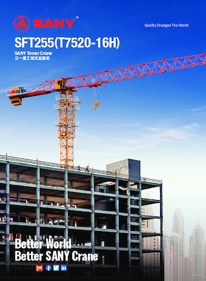 Grúas torre con rotación superior Sany SFT255
