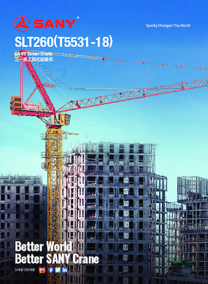 Grúas torre con rotación superior Sany SLT260 