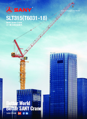 Grúas torre con rotación superior Sany SLT315