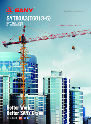 Grúas torre con rotación superior Sany SYT80A3 