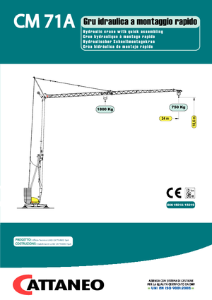 Grúas torre con rotación inferior Cattaneo CM 71A