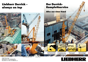 Grúas torre con rotación superior Liebherr 200 DR 5/10 Litronic
