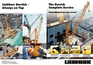 Grúas torre con rotación superior Liebherr 200 DR 5/10 Litronic