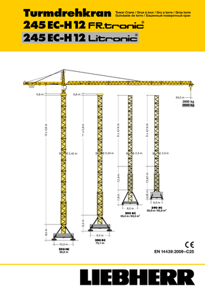 Grúas torre con rotación superior Liebherr 245 EC-H 12 Litronic