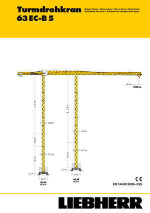 Grúas torre con rotación superior Liebherr 63 EC-B 5