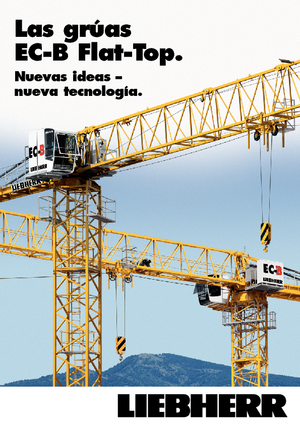 Grúas torre con rotación superior Liebherr 250 EC-B 12 Litronic