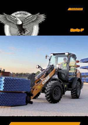 Cargadoras de ruedas Case 221 F  