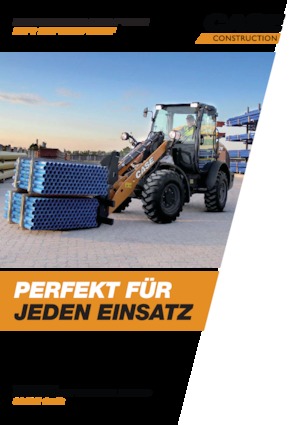 Cargadoras de ruedas Case 21F