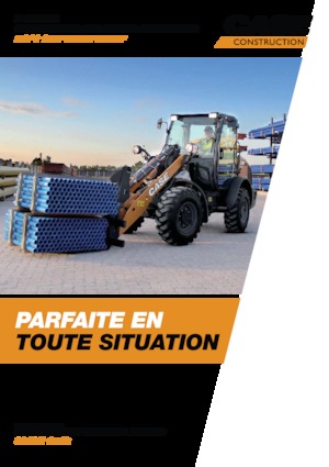 Cargadoras de ruedas Case 21F