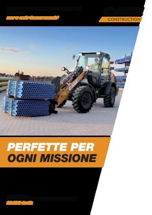 Cargadoras de ruedas Case 21F