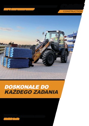 Cargadoras de ruedas Case 21F