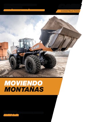 Cargadoras de ruedas Case 521G