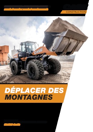 Cargadoras de ruedas Case 521G