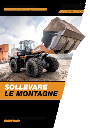 Cargadoras de ruedas Case 521G