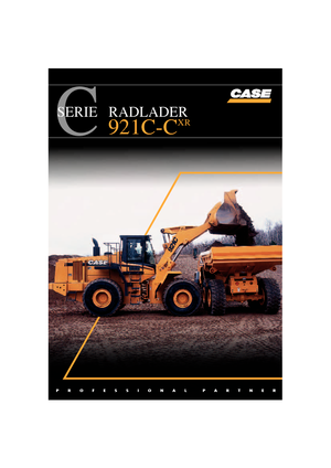 Cargadoras de ruedas Case 921 C Tier 2