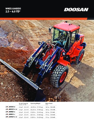 Cargadoras de ruedas Doosan DL200-5