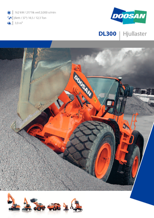 Cargadoras de ruedas Doosan DL 300