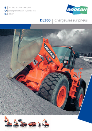 Cargadoras de ruedas Doosan DL 300
