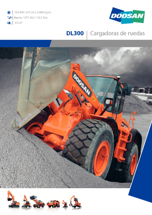 Cargadoras de ruedas Doosan DL 300