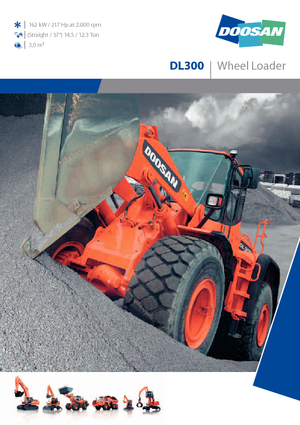 Cargadoras de ruedas Doosan DL 300