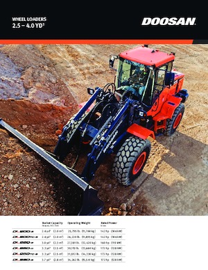 Cargadoras de ruedas Doosan DL200TC-5