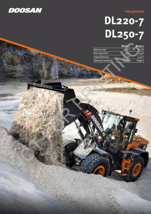 Cargadoras de ruedas Doosan DL250-7