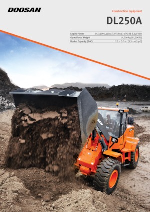 Cargadoras de ruedas Doosan DL250A