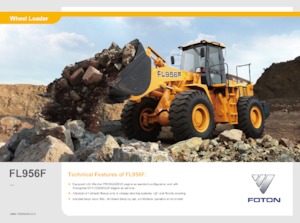 Cargadoras de ruedas Foton Lovol FL956F-II