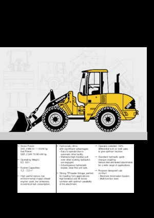Cargadoras de ruedas Volvo L 45 BTP