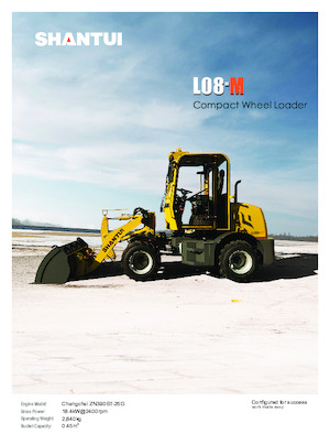 Cargadoras de ruedas Shantui L08-M 