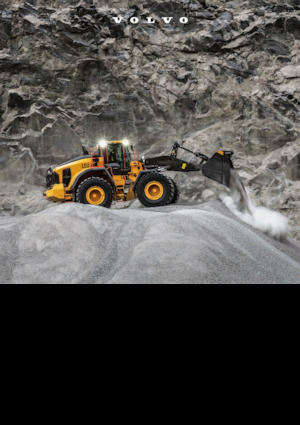 Cargadoras de ruedas Volvo L220 