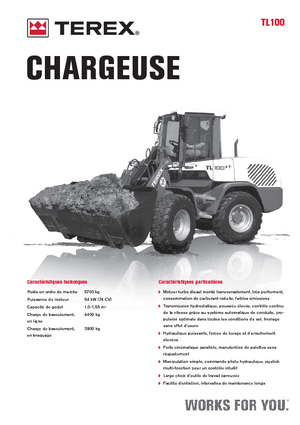 Cargadoras de ruedas Terex TL 100