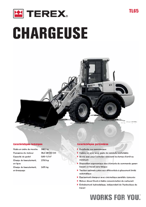 Cargadoras de ruedas Terex TL 65