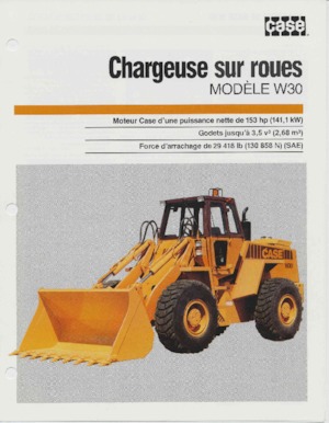 Cargadoras de ruedas Case W30