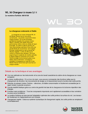 Cargadoras de ruedas Wacker Neuson WL 30