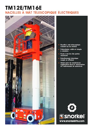 Plataformas verticales Snorkel TM16E