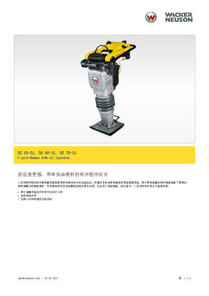 Apisonadores a gasolina y diesel Wacker BS 50-2i 11