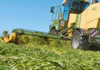 Acondicionadoras de siega automotrices Krone Big M 420 CRi