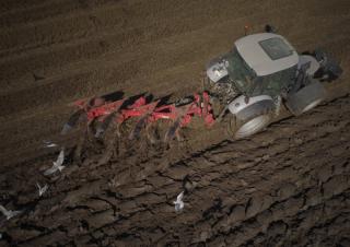 Arados Maschio Unico L 4E