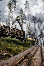 Máquinas forstales Cabezas tractoras (Forwarder) Ponsse Elephant