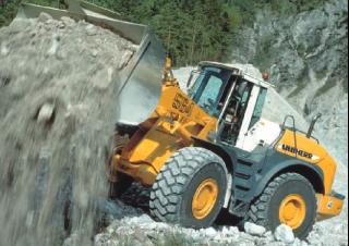Cargadoras de ruedas Liebherr L 564 2+2