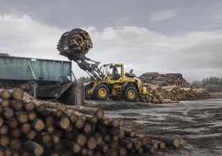 Cargadoras de ruedas Volvo L70H