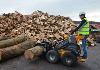 Cargadoras de ruedas Giant SK252D