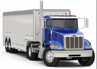 Camiones Chasis rígido Peterbilt 337 PACCAR PX-9