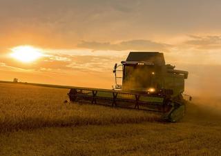 Cosechadoras Fendt 5255 L MCS Rice